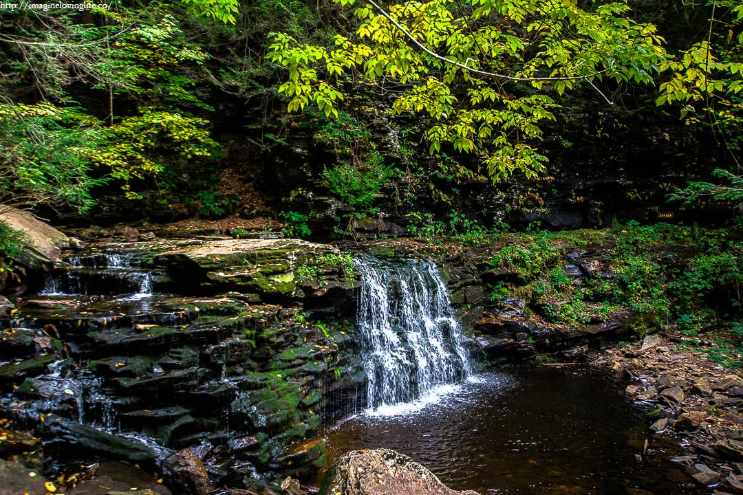 Cayuga Waterfall